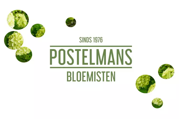 Barometer certificaat voor Postelmans Bloemisten in Tilburg