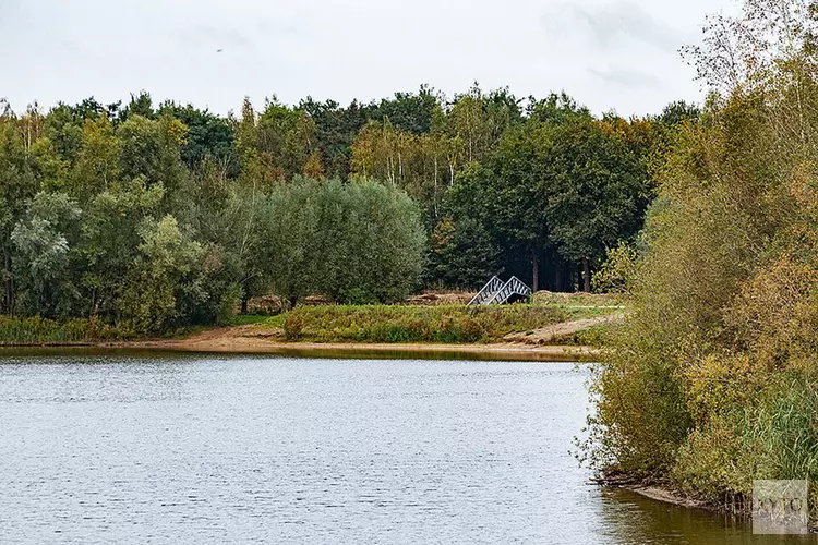 Blauwalg in de Noorderplas