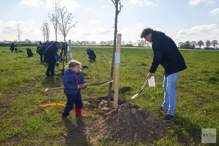 Geboorteboom planten op 11 december