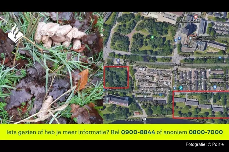Politie waarschuwt hondeneigenaren voor vergiftigde worsten in Tilburg-Noord