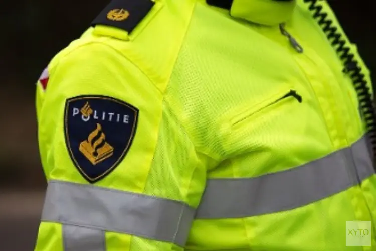 Twee overvallers dringen appartement in Dongen binnen