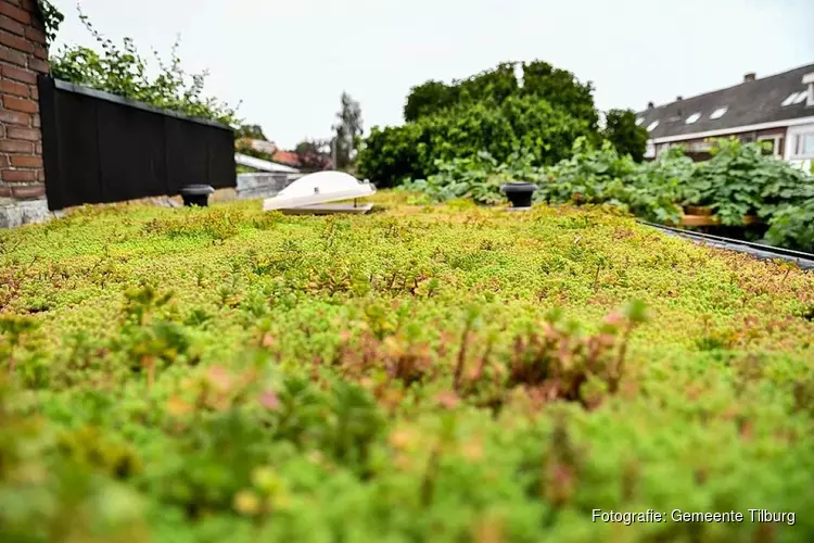 Subsidie klimaatbestendig Tilburg verlengd