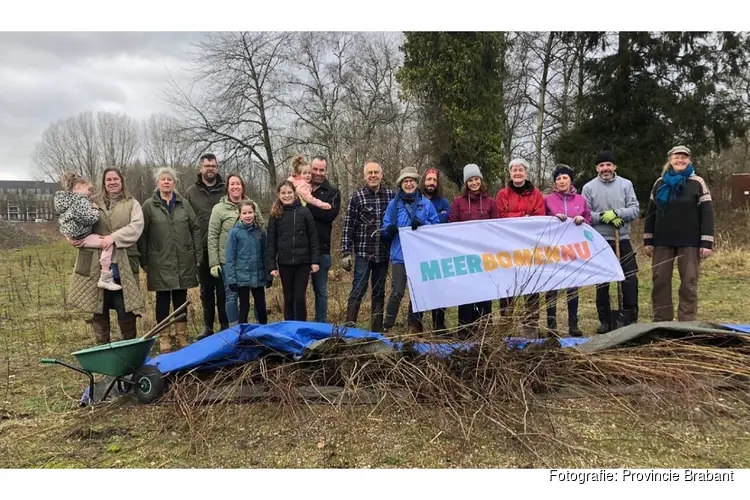 Meer dan 50.000 bomen krijgen 2e kans in Brabant