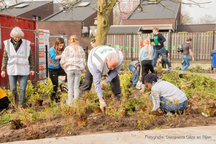 OBS De Wildschut heeft haar groene schoolplein