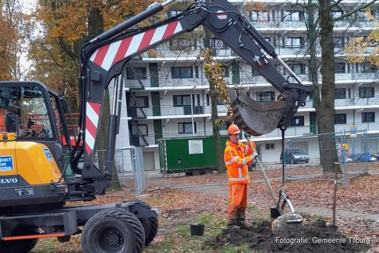 Zo planten we deze winter 1.500 nieuwe bomen