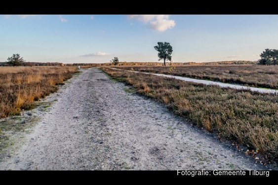 Gebiedsvisie geeft koers 2050 aan voor behoud Regte Heide & Riels Laag