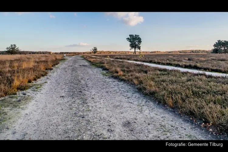 Gebiedsvisie geeft koers 2050 aan voor behoud Regte Heide & Riels Laag