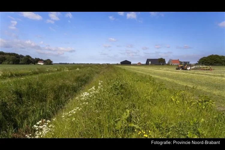 Openstelling subsidieregeling ‘Samenwerking voor Integrale Gebiedsontwikkeling’