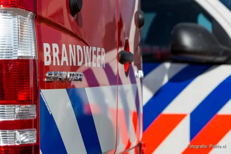 Bestelbus gaat in vlammen op. Politie vermoedt brandstichting